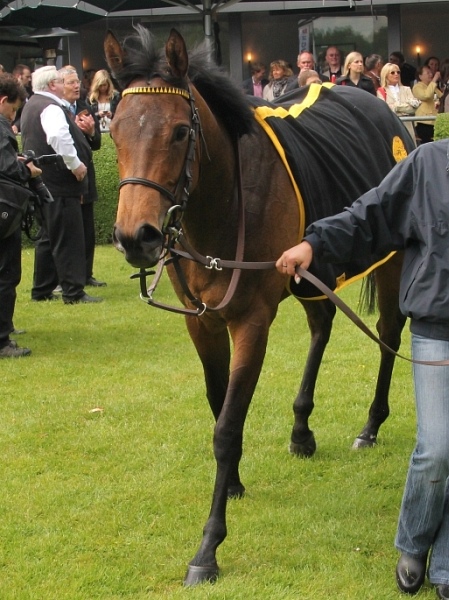 Bult VGH2011   018.jpg